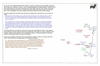 kin22 rooty hill_thumb.gif